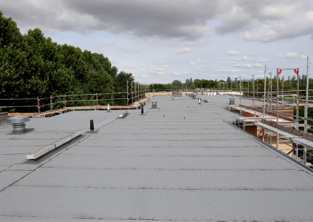 Building's roof